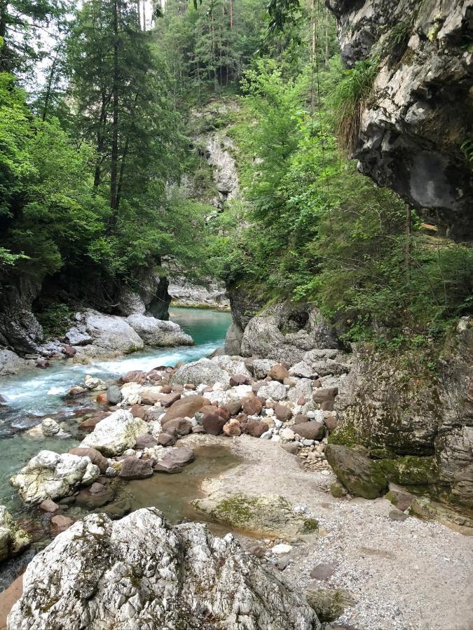 Greenwood Holiday Tarvisio Esterno foto